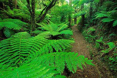 支持双人《SD新假面骑士 乱舞》中文版4月27日上市